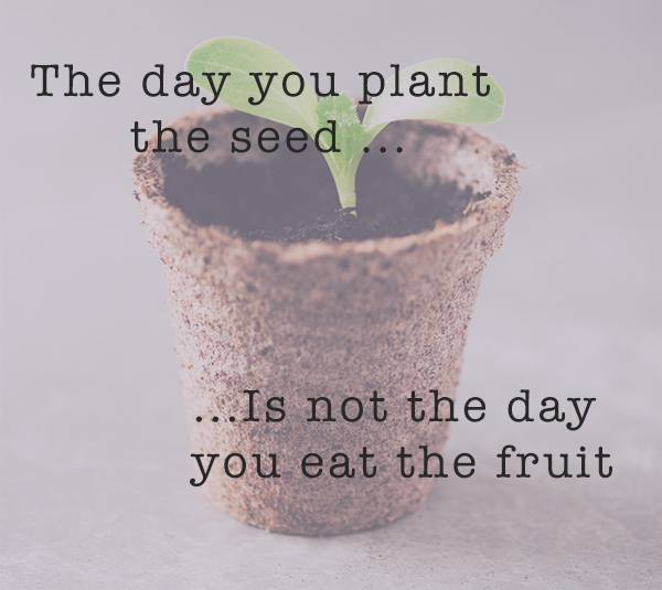 The-Day-You-Plant-the-Seed