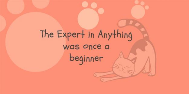 The Expert in Anything quote
